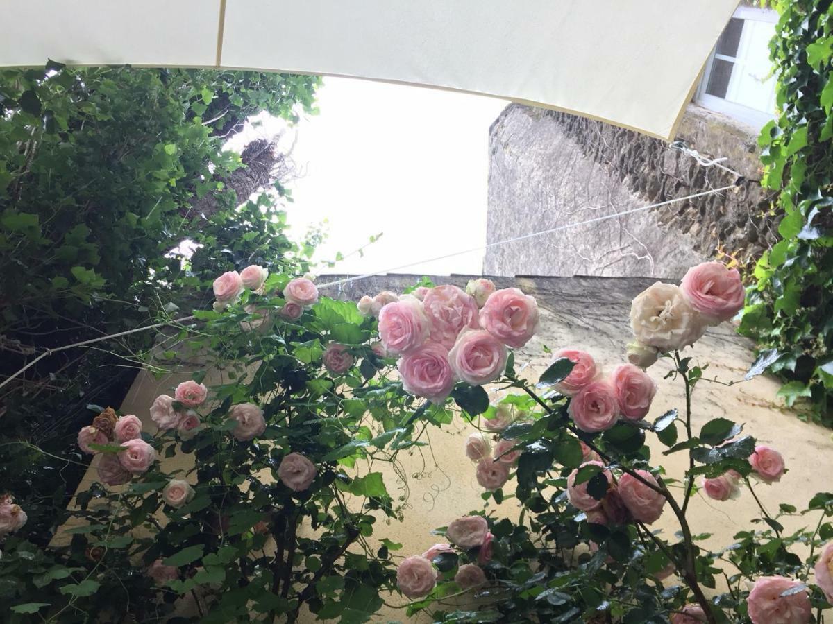 Les Aiguieres En Provence Panzió Suze-la-Rousse Kültér fotó